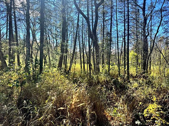 4th image of 1.1 Higby Rd #1