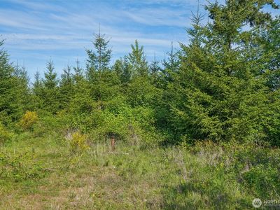 143 Bootjack Lane Lot 2, Kelso, WA, 98626