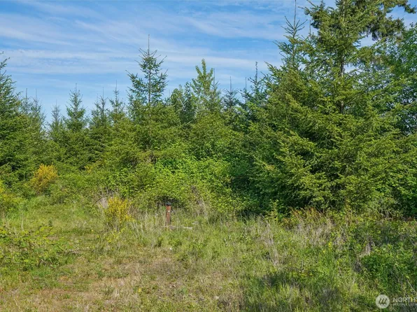 143 Bootjack Lane Lot 2, Kelso, WA 98626