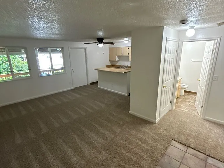 The Firs Apartments — Photo 4