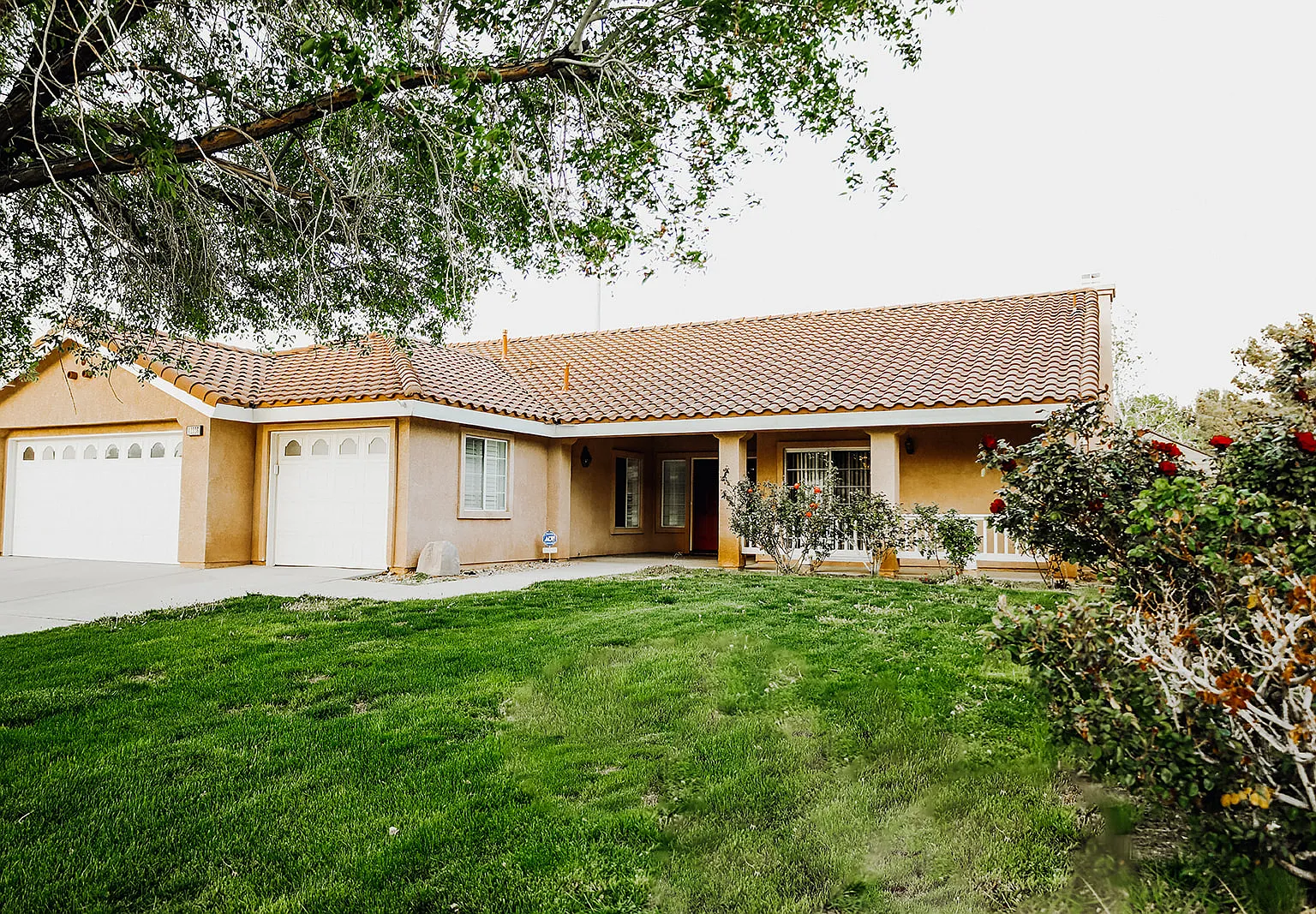 42336 Camden Way — Photo 2