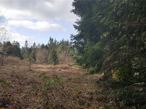 4th image of 12126 Scenic Dr