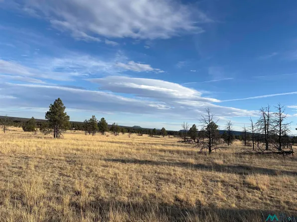 20 Falls Creek Rte, Las Vegas, NM 87701