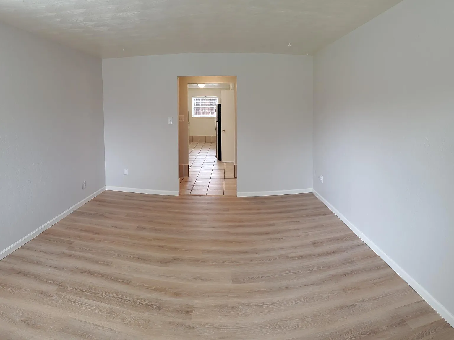 1005 Bragdon Ave — Photo 4