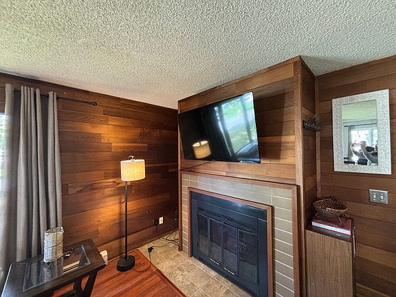 Television and fireplace