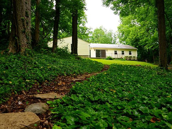 Path looking up from the creek