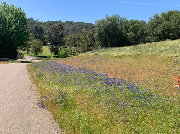75 Acre Ln #13, Shingle Springs, CA 95682