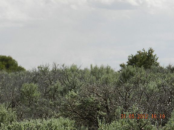 5th image of 5 Alta Mesa Dr