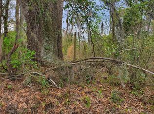 0 Howell Rd, Sneads, FL 32460