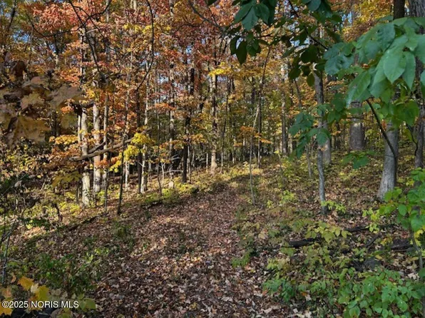 12 Road, Bryan, OH 43506