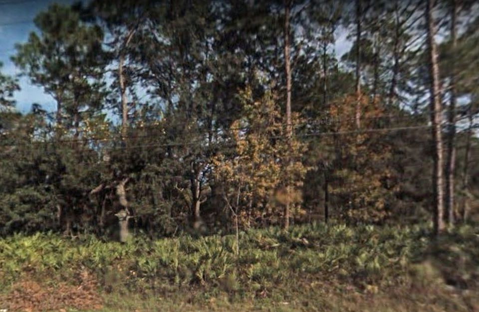 2nd image of 222 Horse Landing Rd