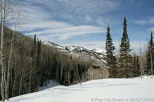 3rd image of 182 White Pine Canyon Rd #182