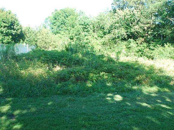 5th image of 42 Thornwood Trl