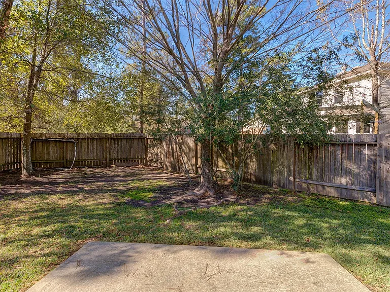 11 Ebony Oaks Pl — Photo 27