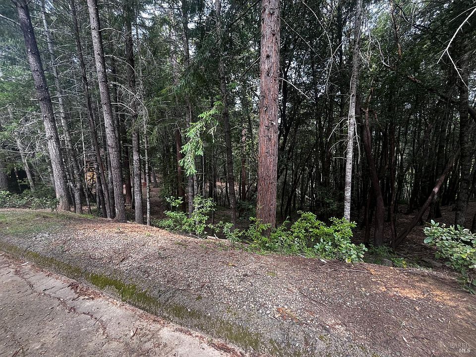 2nd image of 1572 Camellia Place