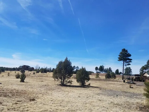 2734 Bain Trl, Overgaard, AZ 85933