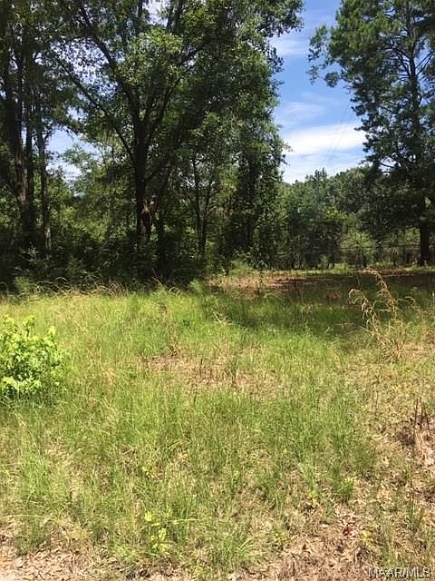 2nd image of 797 Strickland Landing Rd