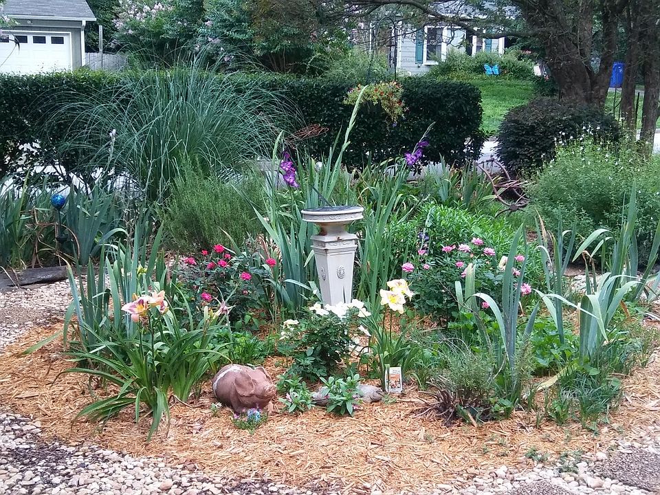 Garden View #2