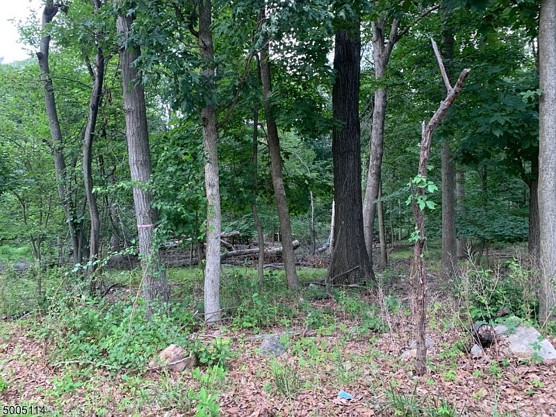 2nd image of 39 Sparta Rd