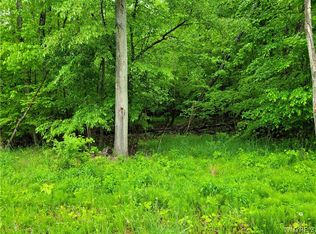 0 County Road 24 #16, Swain, NY