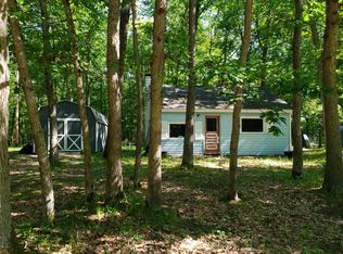 4784 W 10 1/2 Mile Rd, Irons, MI 49644