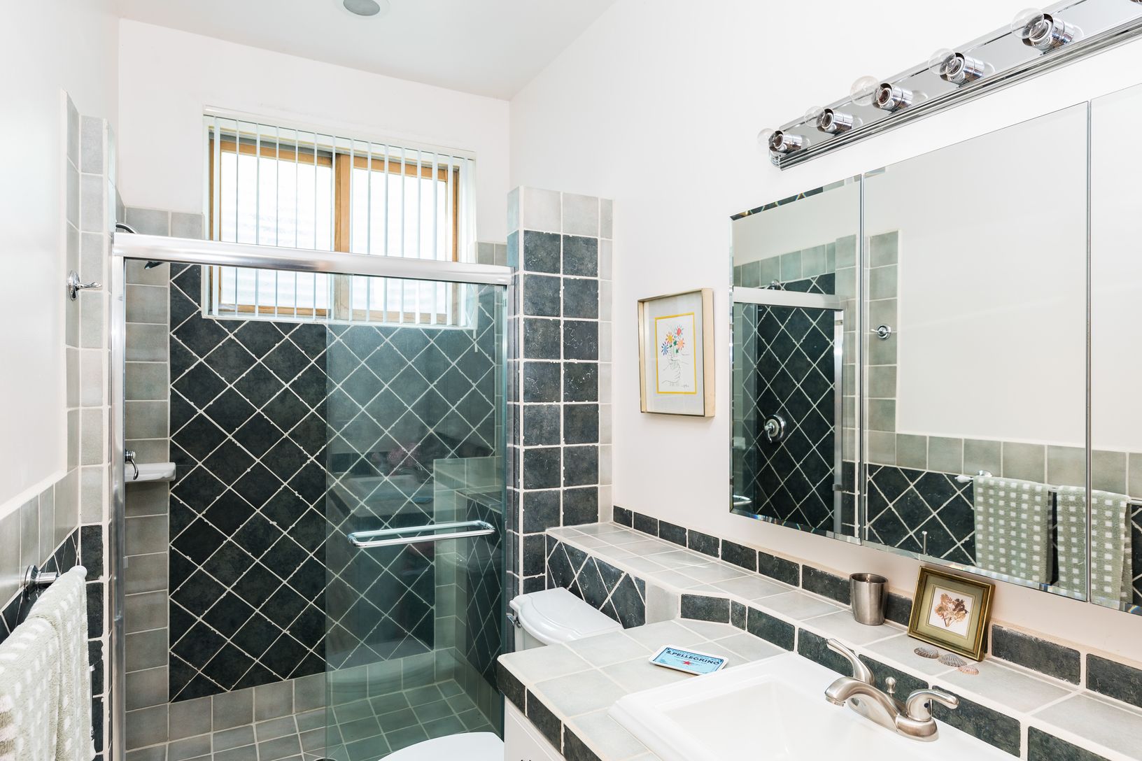  Lower Level Full Bath