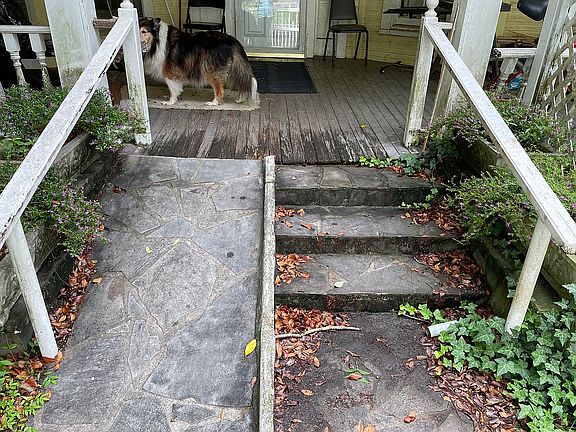 3rd image of 226 College Ave N