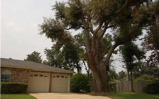 4239 Burtonwood Cir — Photo 31
