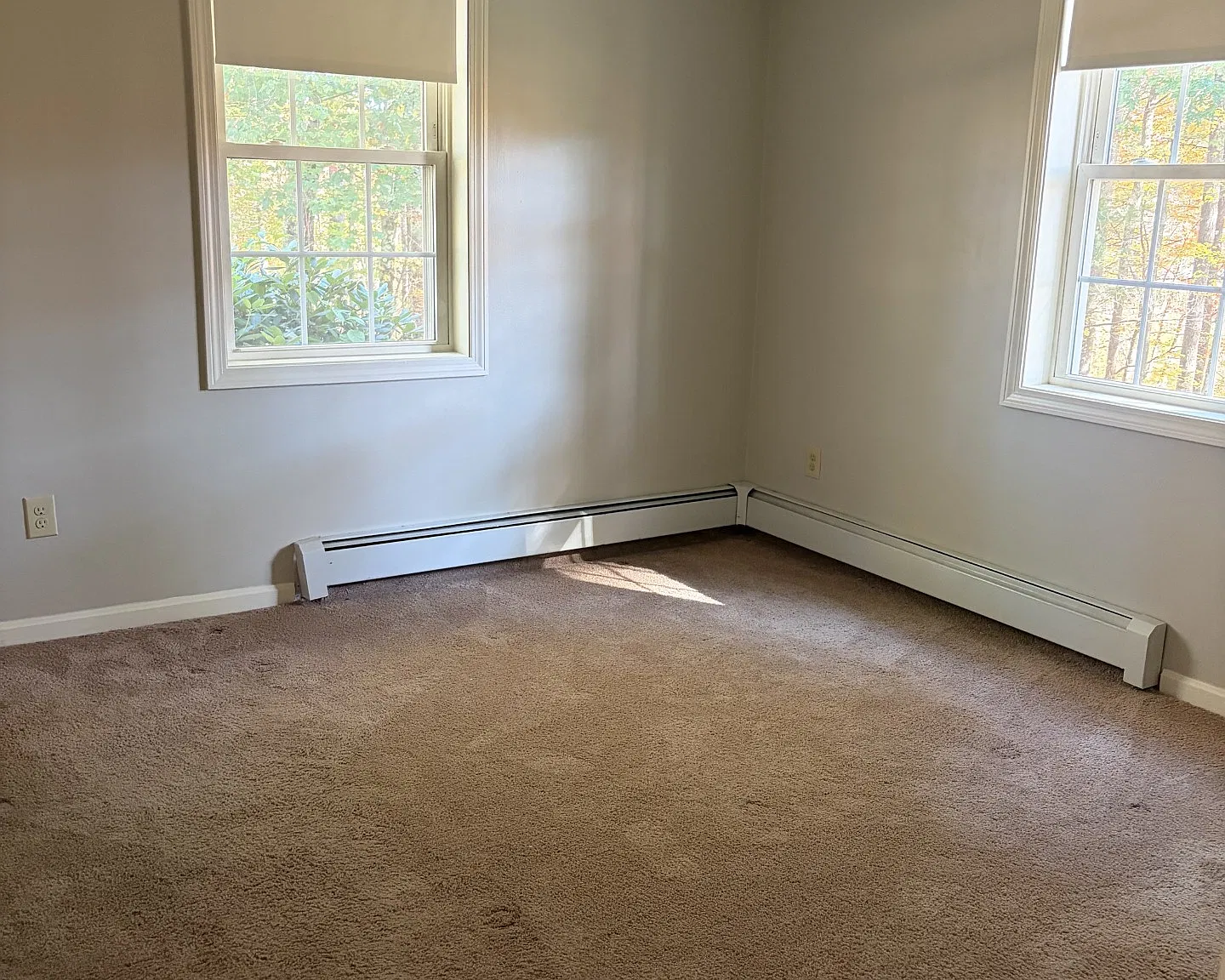 2 bed, 800 sqft, $1,700 — Photo 4
