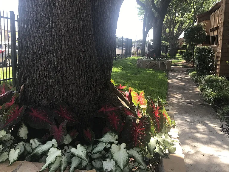 Sun Colony — Photo 17
