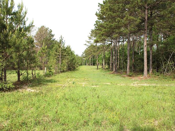 4th image of 5300 State Highway 150
