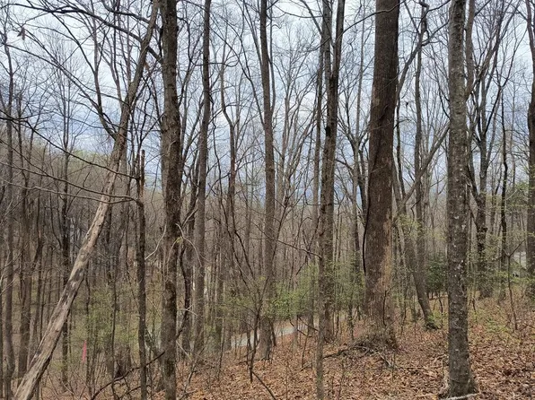 M99 Sleepy Hollow Rd, Ellijay, GA 30536