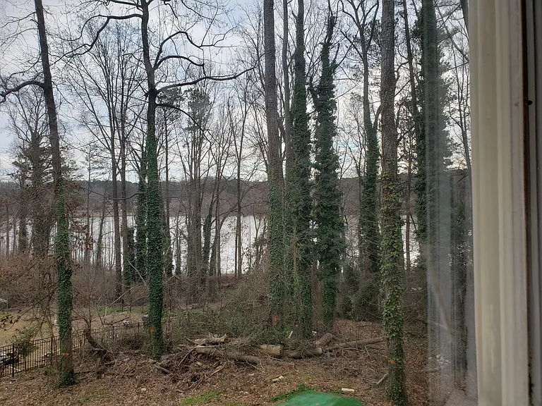 4526 Freeman Ct #4 — Photo 8