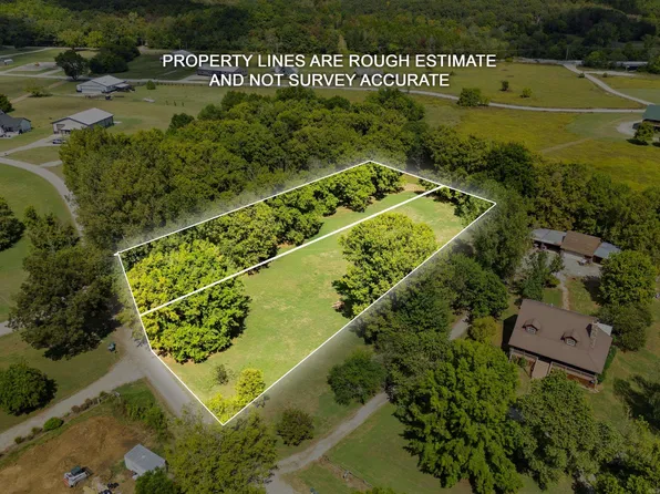 Lots 10 & 11 Little Ln, Cotter, AR 72626