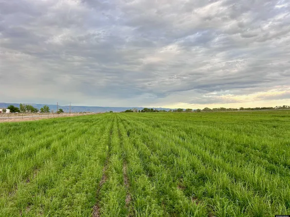 Lane #33-1/2, Greybull, WY 82426