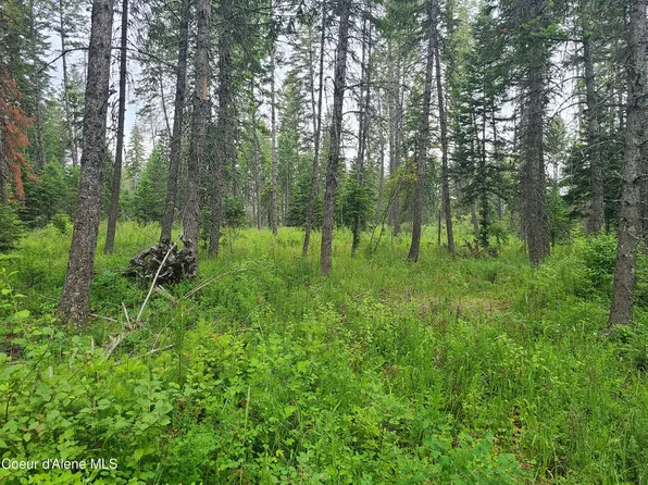 Nka Moose Creek Rd, Priest River, ID 83856