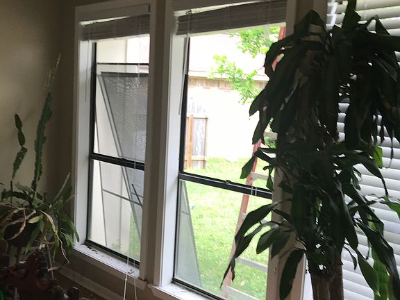 4th image of 806 Taos Dr