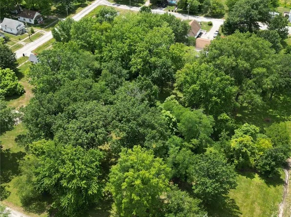 1200 E Brailley St, Hillsboro, IL 62049