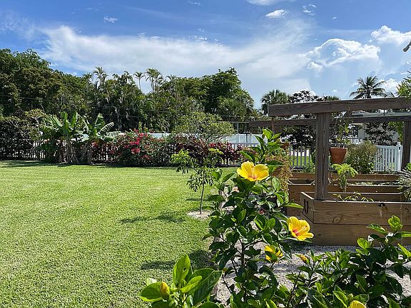 Backyard / Garden beds 