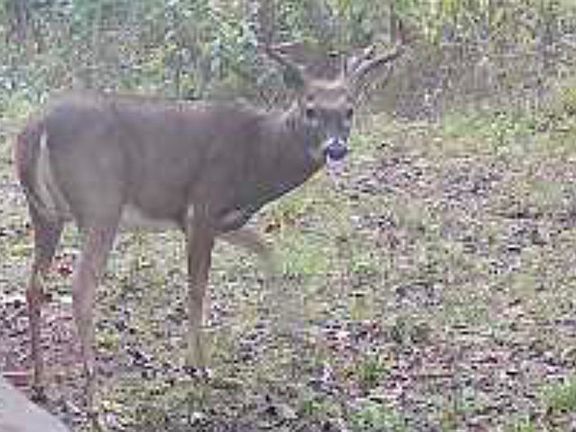 2nd image of 17549 E Webb Rd