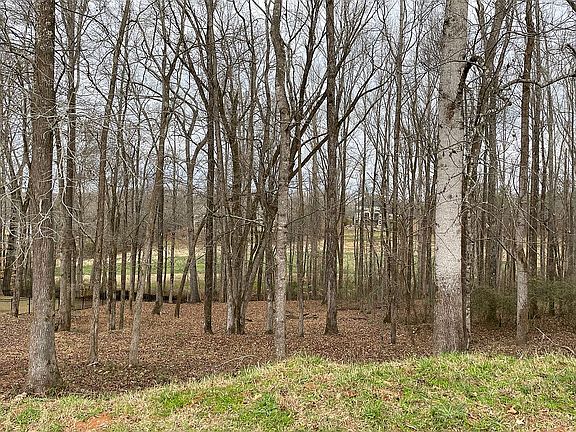 3rd image of 2146 Saddle Creek Dr