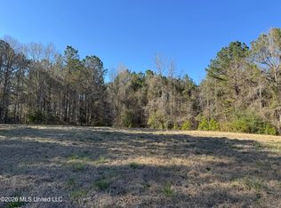 29 Sontag Nola Rd, Sontag, MS 39665