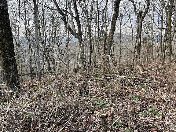 4th image of 151 S Ledge View Dr