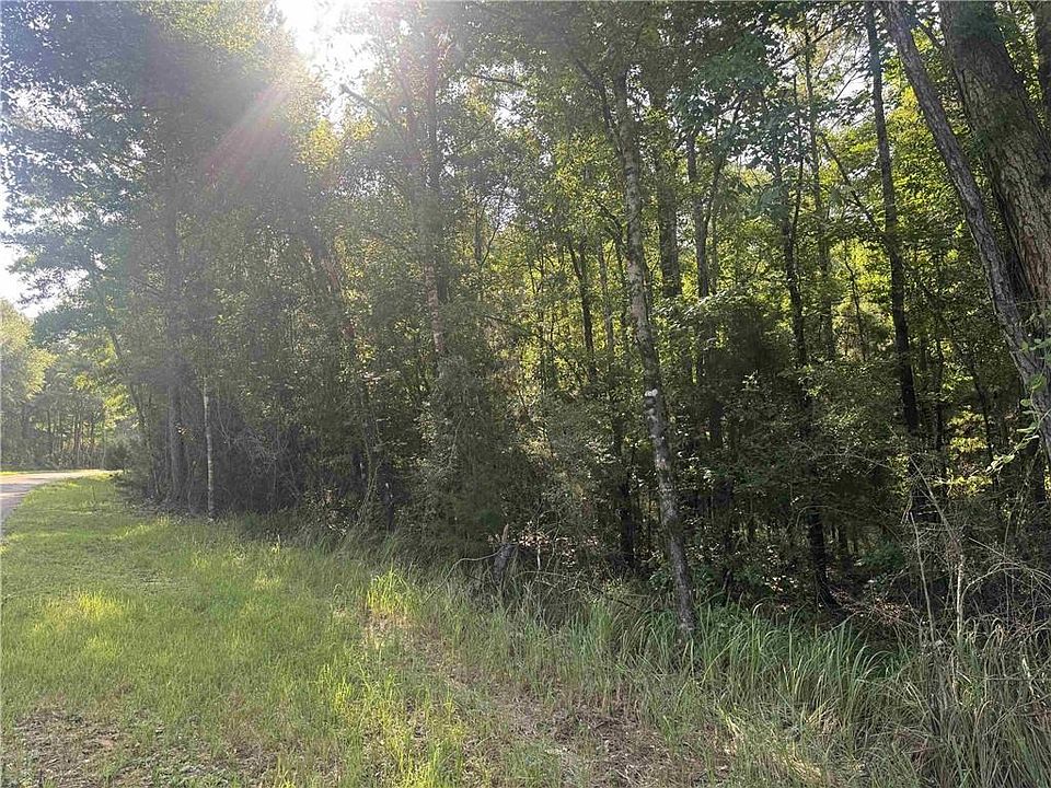 2nd image of 0 Rice Creek Rd