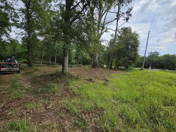 20963 Oak Ridge Dr, Robertsdale, AL 36567