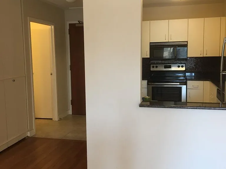 401 E Ontario St #2504 — Photo 3