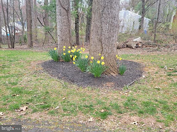 5th image of 6476 Loudoun Ct