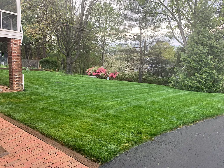 1739 Old Brook Rd — Photo 3