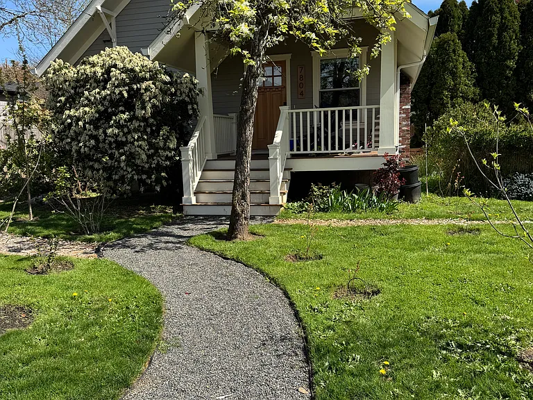 lots of trees and shrubs in the yard