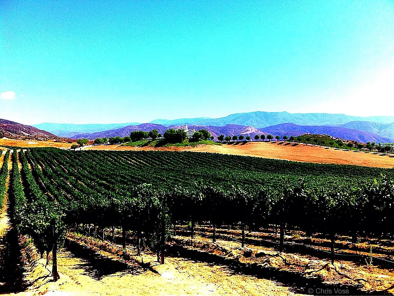 Come out and enjoy visiting the Temecula wineries ! There ar